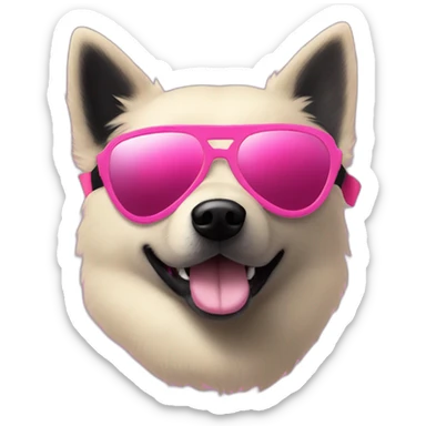 Black schipperke head with only short black hair with sunglasses and who wears a pink bandana around his neck sticker