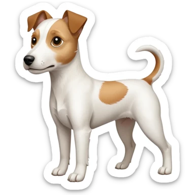 a full body white parson russell looking dog the size of a kelpie with light brown ears and a light brown patch on one eye and a large snout sticker