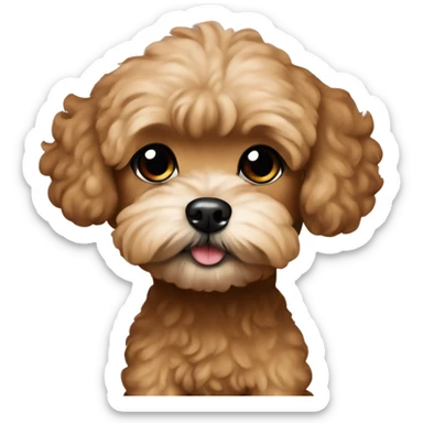 brown maltipoo sticker