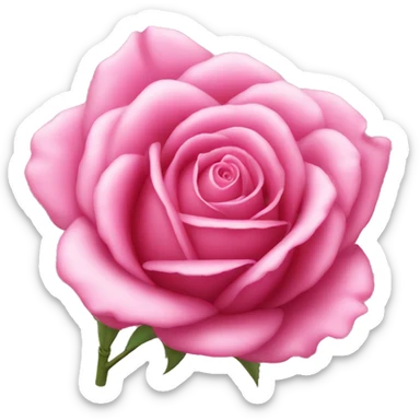 Pink rose  sticker