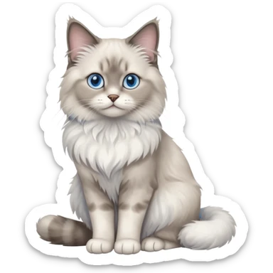 Cute adorable elegant tall realistic pretty petite cool Ragdoll cat sitting full body sticker