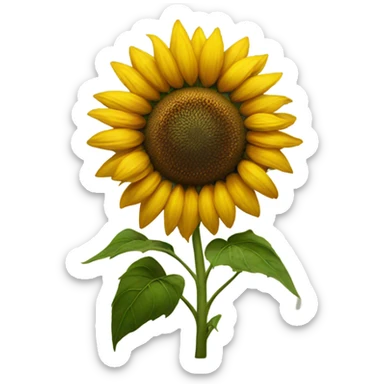 Sunflower  sticker