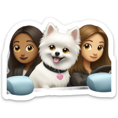 Pomeranian white in car with brunette girl sticker