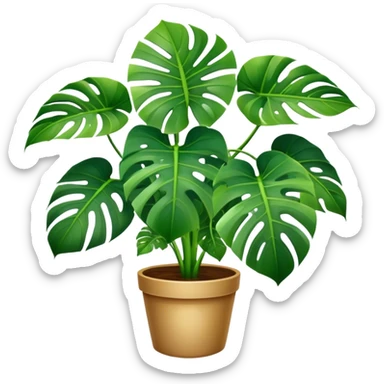 Monstera plant sticker