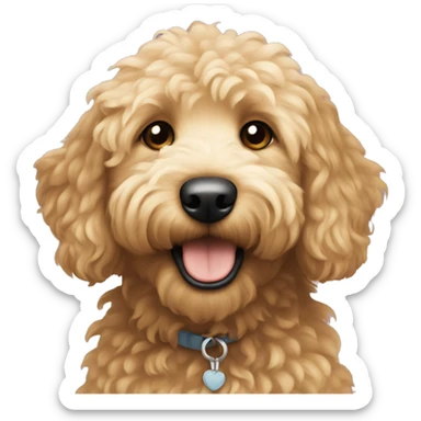 Mini golden doodle  sticker