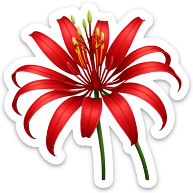 Red spider Lily flower sticker