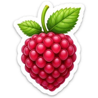 raspberry  sticker