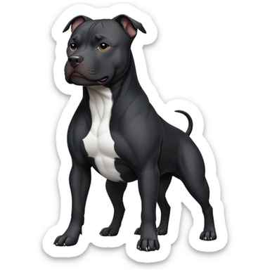 black pitbull dog sticker