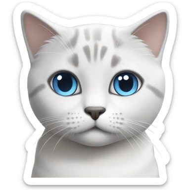 British short hair cat in white and light grey with blue eyes sticker