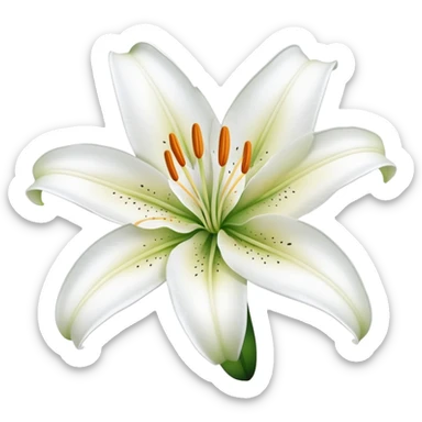 beautiful lily flower with delicate petals sticker