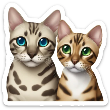 Seal Bengal cat with Blue eyes + charcoal Sepia bengal cat with Green eyes sit Next to each other  sticker