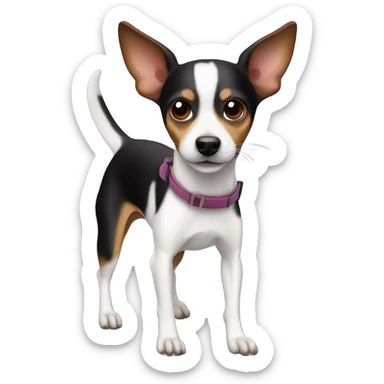 Mini rat terrier dog skiing  sticker