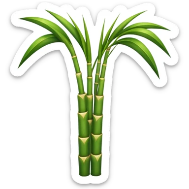 Sugarcane sticker