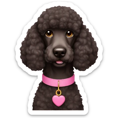 black brown standard poodle pink collar sticker