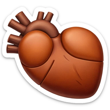 Liver original image sticker