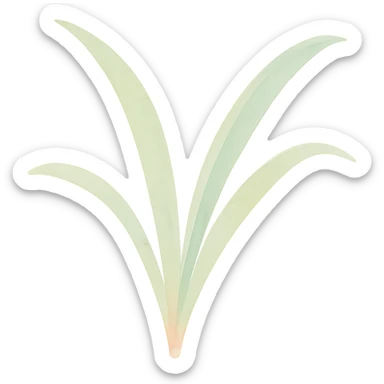 a single spider plant leaf, watercolor style, delicate brush strokes, soft colors sticker