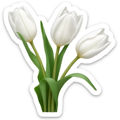 white tulips  sticker