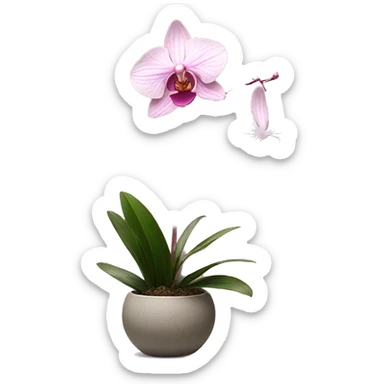 Ikebana orchid pink dainty plant sticker