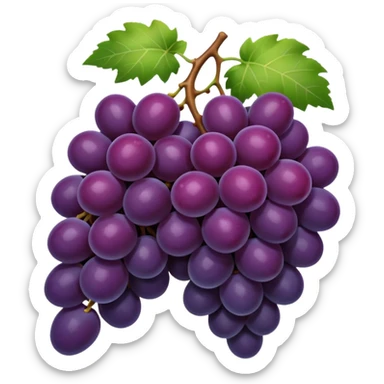 dark grapes sticker