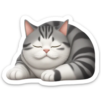 fat American shorthair cat sleeping sticker