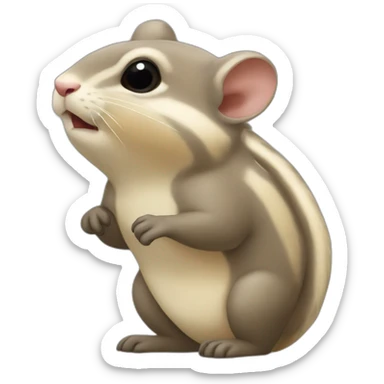 Ardilla coquette sticker