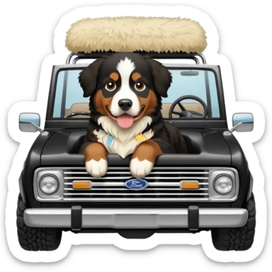 Bernese mountain dog in a cream colored ford bronco with no roof sticker