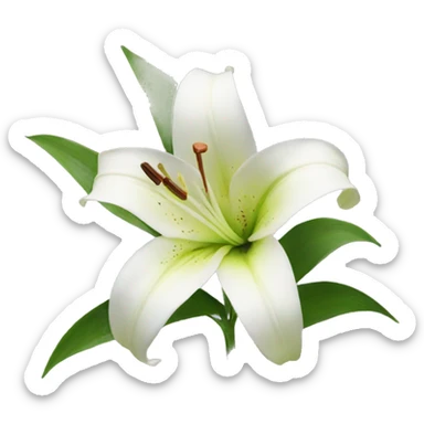 lily flowers sticker