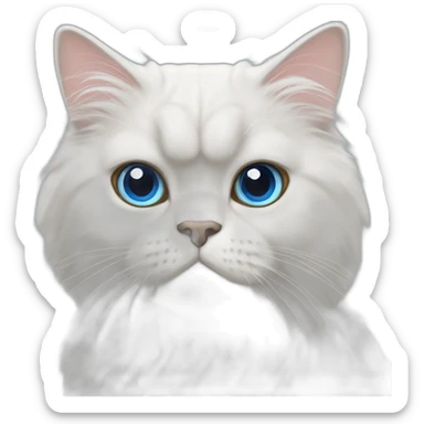 persian cat white with bleu eyes sticker