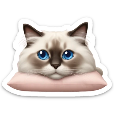 Realistic ragdoll cat with blue eyes laying on pink pillow sticker