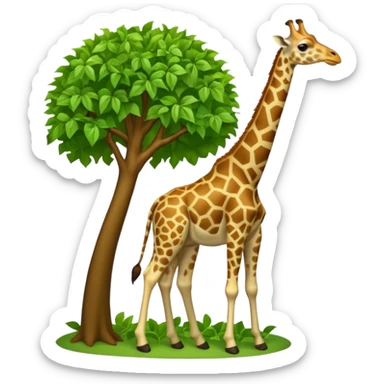 giraffe eating leaves from a tree sticker