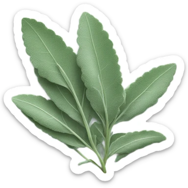 sage sticker