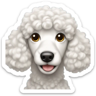 caniche white curly ears sticker