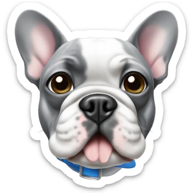 French bulldog grey with blue eyes  sticker