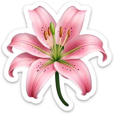 light pink lilium sticker