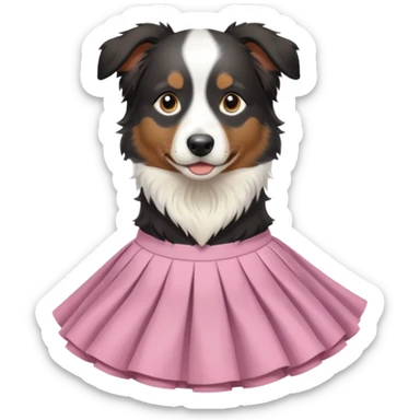 berger australien noir et blanc avec une jupe sticker