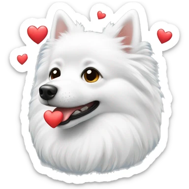 white spitz showing heart sticker