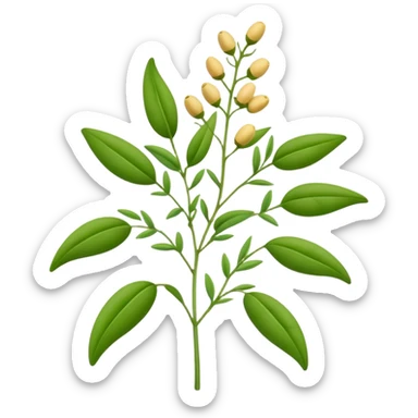 pigeonpea plant with green leaves and pods, simple and clear sticker