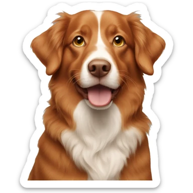 Ginger toller  sticker