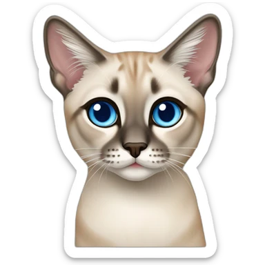 lynx-point-siamese-cat-blue-eyes sticker