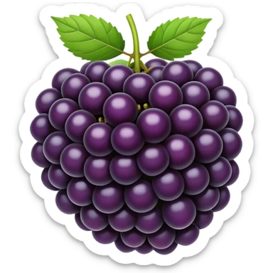 Blackberry sticker