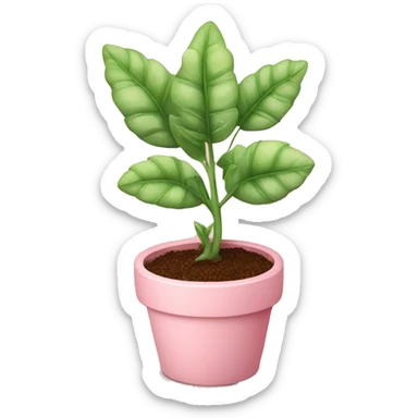cute plant with a baby pink pot sticker