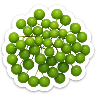 sea grape which is green looking like a grape. but way more tiny ones sticker