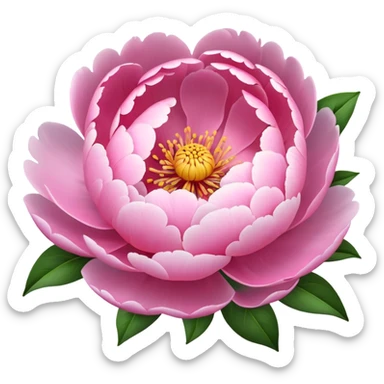 Peonies flower sticker