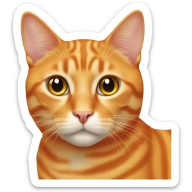 Orange cat  sticker