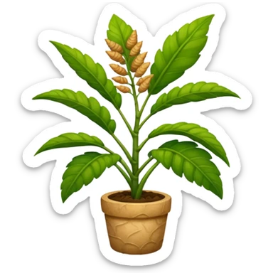 ginger plant sticker