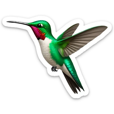 Hummingbird  sticker