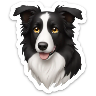 Border collie with one blue eye and one brown eye  sticker