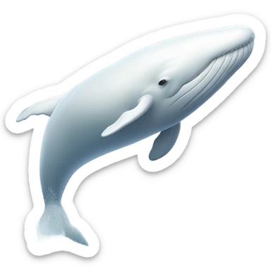 white whale , underside sticker