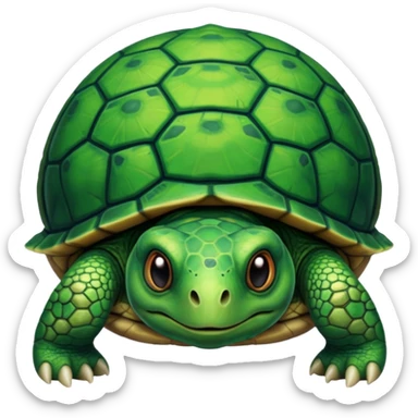 très vieille tortue sticker