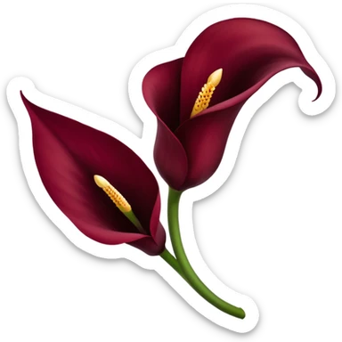 burgendy calla lily sticker